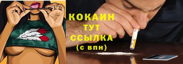 крисы Михайлов