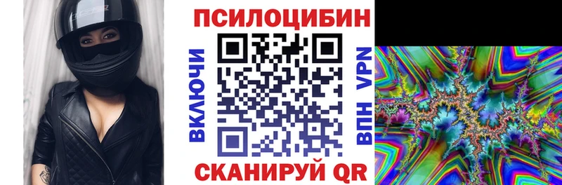 блэк спрут зеркало Сясьстрой Псилоцибиновые грибы Psilocybe